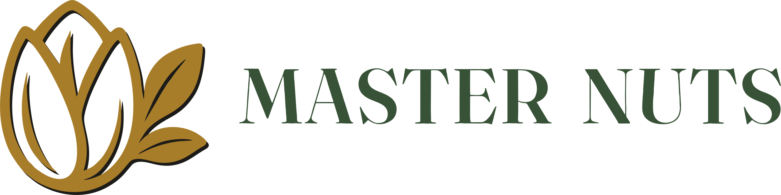 Master Nuts – Premium Pistachio Ingredients for Hotels, Bakeries & Gelato in UAE